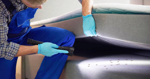 Reliable Lake Katrine, NY Pest Control Solutions