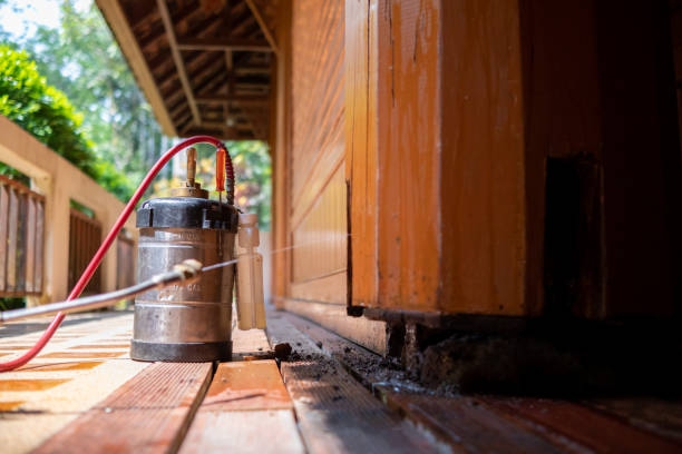 Best Exterminator Services  in Lake Katrine, NY